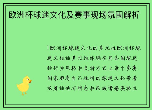欧洲杯球迷文化及赛事现场氛围解析