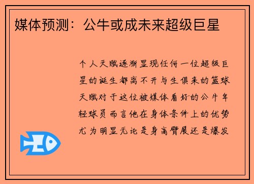 媒体预测：公牛或成未来超级巨星